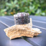 New Damascus Antiquity V2 Cap Titanium #ANTV2 029