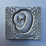 DELRO D60 Panel Kit SNAKE Engraving