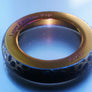 Titanium 22/24mm Beauty Ring LEZARD Edition #1