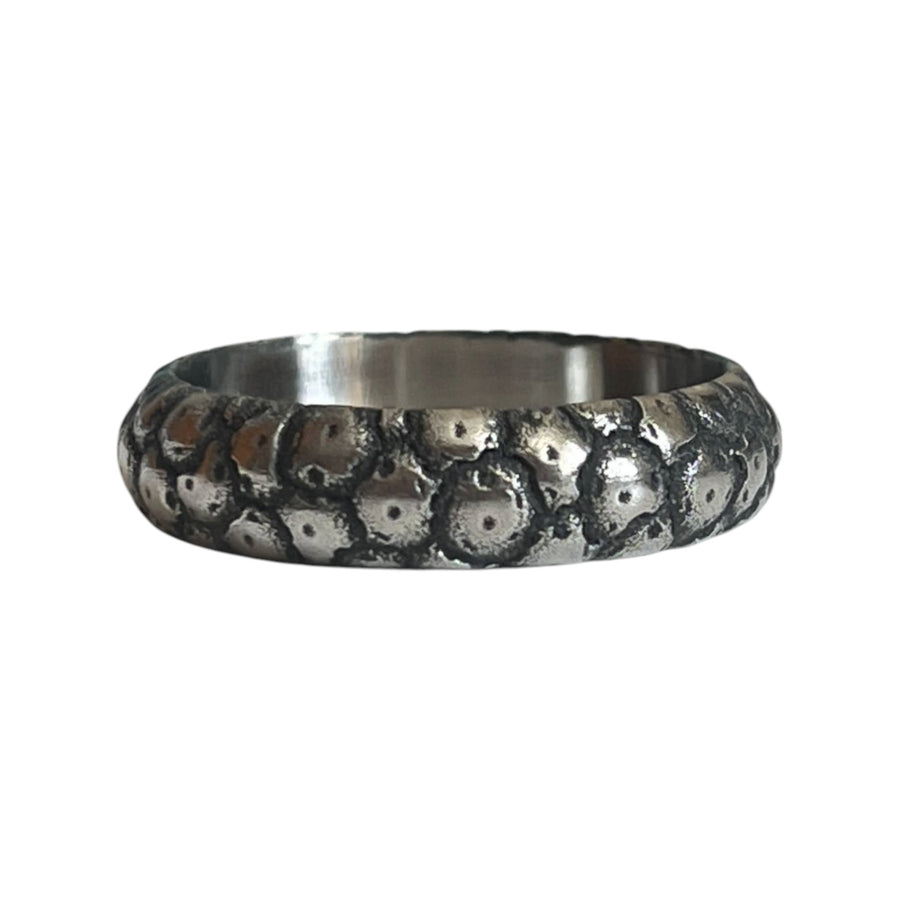 The One: Meteorite Titanium Beauty Ring