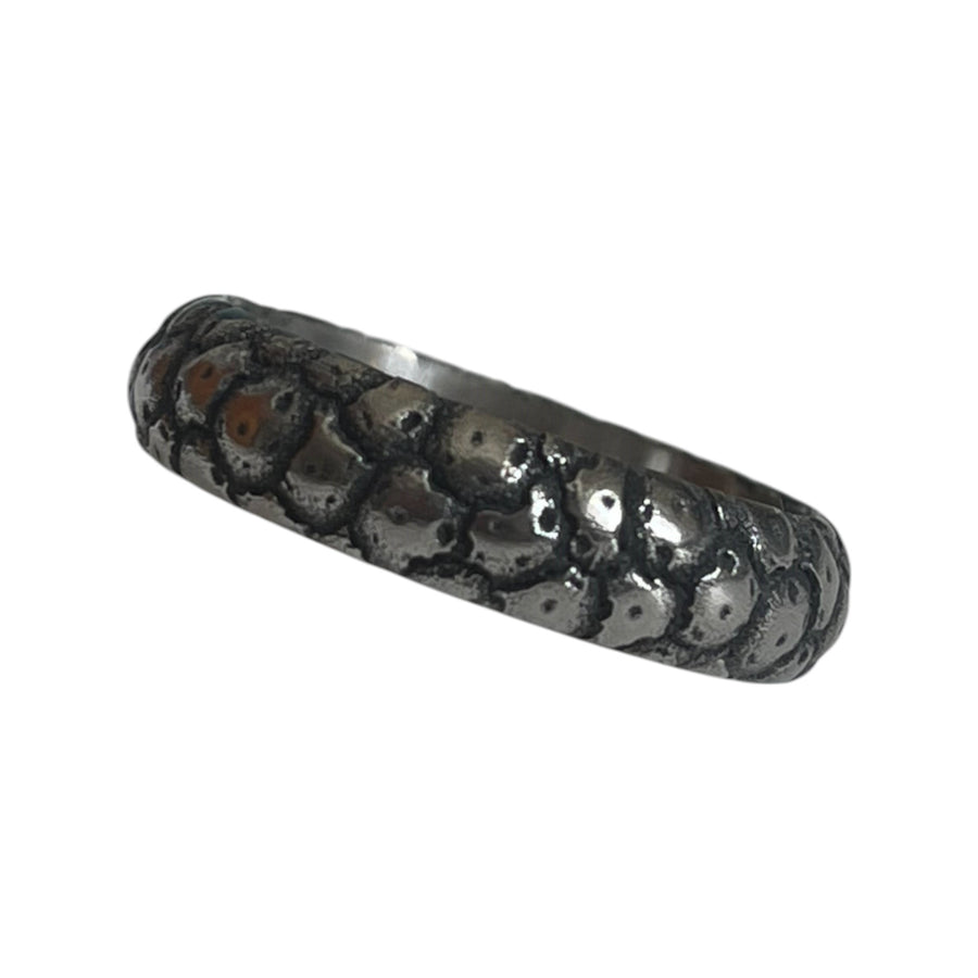 The One: Meteorite Titanium Beauty Ring
