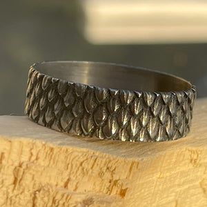 Scales Beauty Ring Titanium 22mm Wowsers #W056