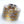 Haku Venna Cap Titanium engraved BART SKULLS #2B003