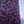 SvF V5 Engraved Back Panel -  Porte gravée pour SvF V5 (arrière) - Little Purple  Heads